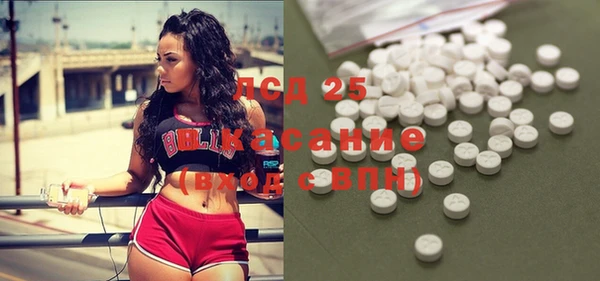 ГАЛЛЮЦИНОГЕННЫЕ ГРИБЫ Козловка