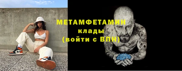 ГАЛЛЮЦИНОГЕННЫЕ ГРИБЫ Козловка