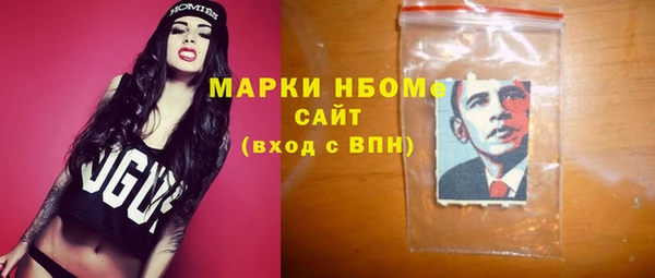 ГАЛЛЮЦИНОГЕННЫЕ ГРИБЫ Козловка