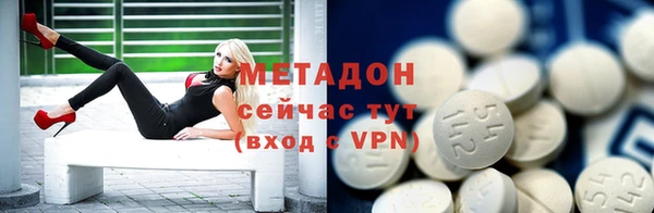 ГАЛЛЮЦИНОГЕННЫЕ ГРИБЫ Козловка