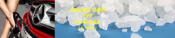 ГАЛЛЮЦИНОГЕННЫЕ ГРИБЫ Козловка