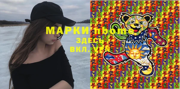 ГАЛЛЮЦИНОГЕННЫЕ ГРИБЫ Козловка