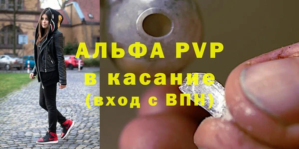 ГАЛЛЮЦИНОГЕННЫЕ ГРИБЫ Козловка