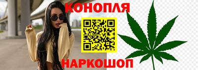 гашик Гусь-Хрустальный