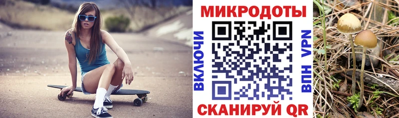 гидра сайт Дмитров Псилоцибиновые грибы Psilocybe купить сайты